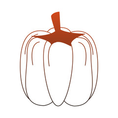 Pumpkin fresh and natural vegetable vector illustration graphic design