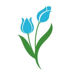 Nature flower light blue tulip