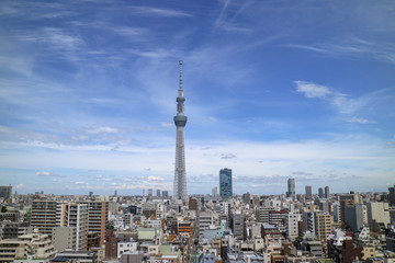 Great city and Tokyo sky tree