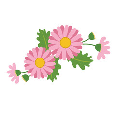 Nature flower pink daisy