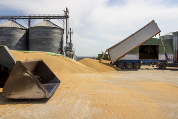 truck unloading grain near a silo