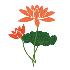 Fototapeta na wymiar Nature flower orange lotus