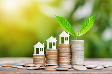 House paper model and tree growing on coins stack for saving to buy a house