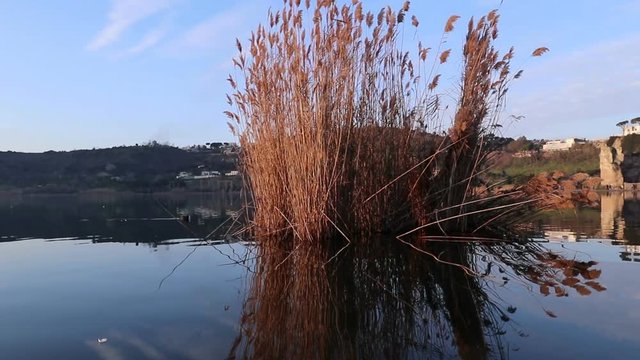 temple of Apollo on Lake of Averno. Campi Flegrei Regional Park, Pozzuoli, Italy
