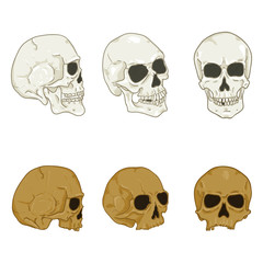Vector Set of Cartoon Human Skull. Headbones Collection.