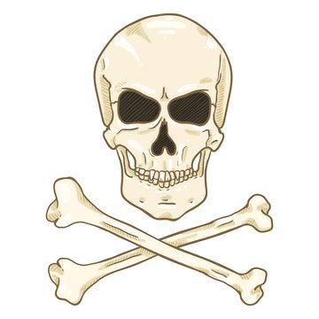Vector Cartoon Pirate Symbol - Skull with Cross Bones