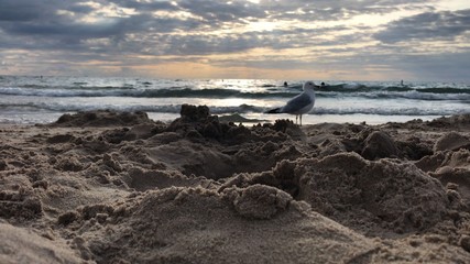 Sand Castles People and Seagulls in front of the ocean 