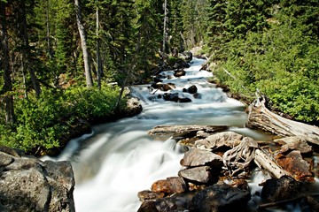Fototapeta na wymiar Hidden Falls im Grand teton Nationalpark
