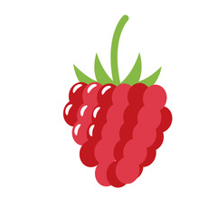 Healthy organic fruit raspberry