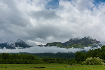 Alpine meadow in the Sayans