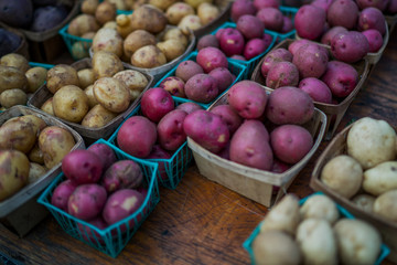 Organic potatoes. Farm fresh vegetable. Beautifully displayed in attractive baskets. Eco potatoes on sale at outdoor farmers market. Raw potato food. Different varieties of potatoes in a shelf.