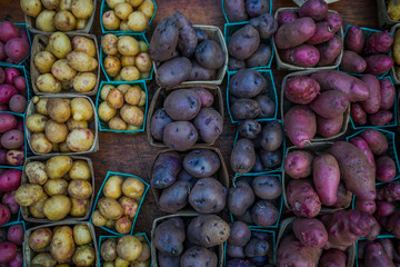 Organic potatoes. Farm fresh vegetable. Beautifully displayed in attractive baskets. Eco potatoes on sale at outdoor farmers market. Raw potato food. Different varieties of potatoes in a shelf.