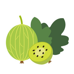 Healthy organic green gooseberry