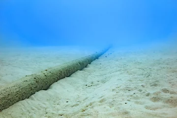 Ishigaki Island Diving - Unterseekabel © norimoto