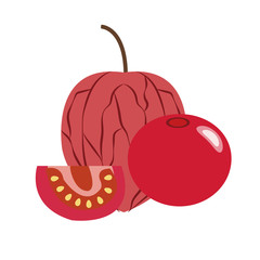 Healthy organic red cape gooseberry physalis