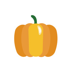 Nature organic vegetable Pumpkin