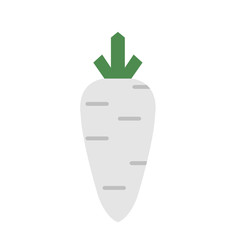 Nature organic vegetable White radish