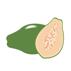 Nature organic vegetable Green papaya