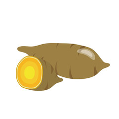 Nature organic vegetable sweet potato