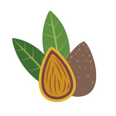 Nature organic vegetable Almond