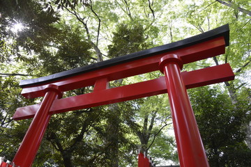 赤い鳥居