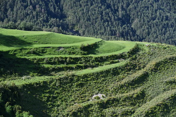 PAISAJE