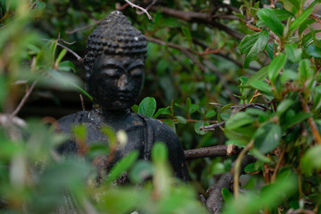 Buddha