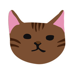 Cute kitty cat face nursery animal pet