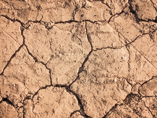 crackes on the yellow ground