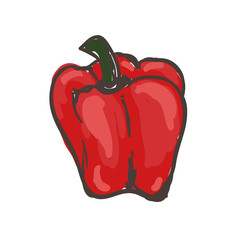 Hand drawn vegetable red pepper