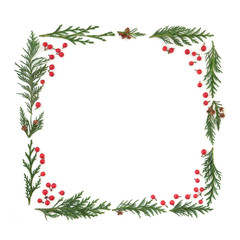 Cedar cypress leyland leaf sprigs and holly berries forming a square minimalist abstract frame on white background.