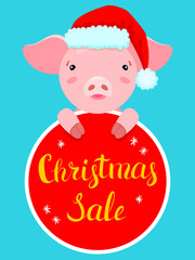 Fototapeta na wymiar Hand drawn illustration of cute pink pig in Santa's hat and red tag. Vector Christmas cartoon background with text: Christmas Sale. Symbol of 2019.