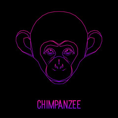Abstract monkey head. Gradient line chimpanzee monkey portrait pattern background for design t shirt, veterinary clinic poster, modern party invitation, gift card, bag print, art workshop advertising