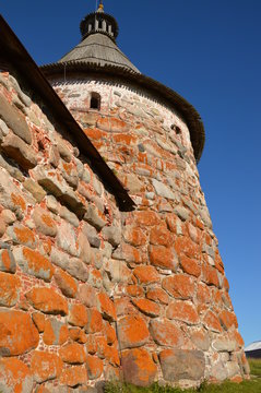 bashnya
