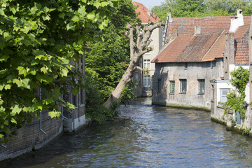 Fototapeta na wymiar Bruges , Water Canal