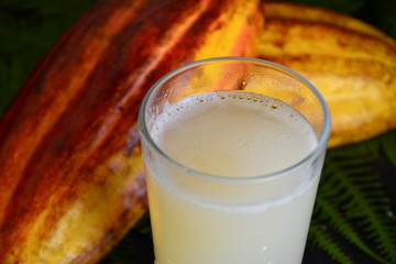 cocoa juice