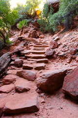 Natural steps on a trail