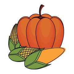 pumpkin and corns over white background, vector illustration