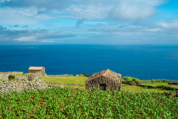 Some farming houses and some cornfield in Corvo Island in Azores