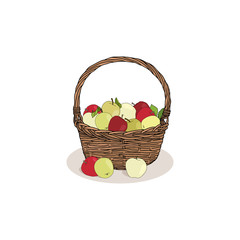 Basket with different kinds of apples with shadow isolated on white background. Autumn harvest symbol, logo, emblem. Natural food for farmers market. Vector illustration with fruits. 	