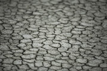 Drought dry land cracking land.