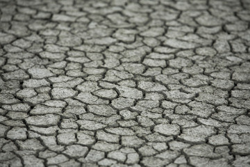 Drought dry land cracking land.