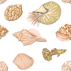 Sea world seamless pattern, background with fish, corals and shells on white background. Stock vector illustration.