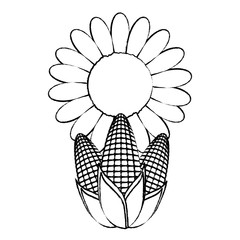 sunflower and corns over white background, vector illustration