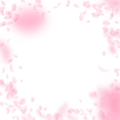 Obraz na płótnie Canvas Sakura petals falling down. Romantic pink flowers vignette. Flying petals on white square background
