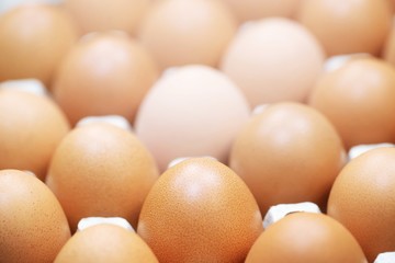 close up whole eggs in box. Chicken egg many. soft focus