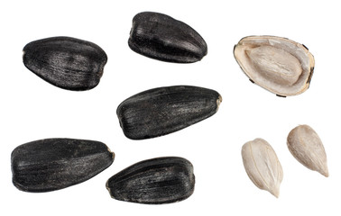 Sunflower seeds isolated on white, top view