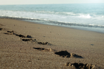 Footprints in the sand. Beach holiday.