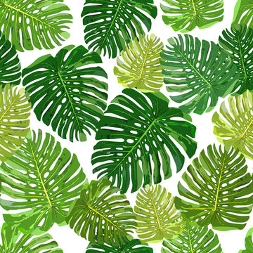 Tropical leaves seamless pattern colorful isolated hand drawn pl