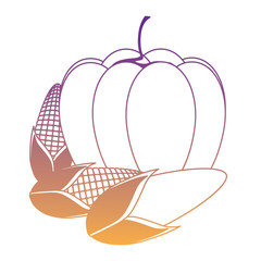 pumpkin and corns over white background, vector illustration